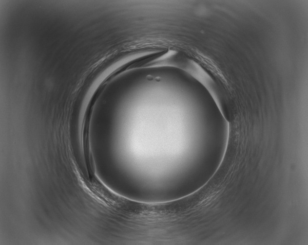 X0000084550538200702231208