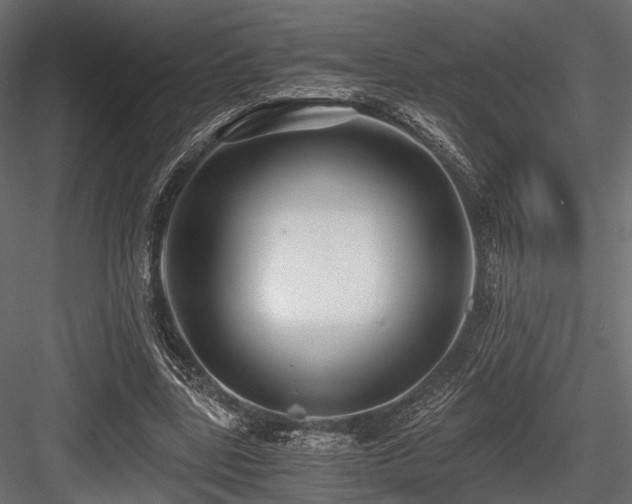 X0000084550539200702231208