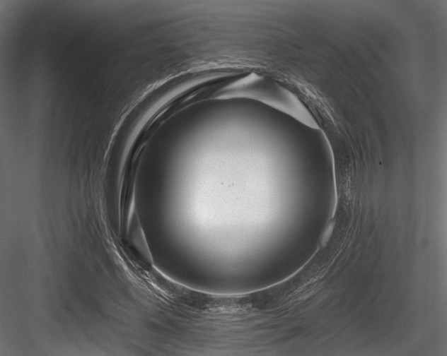 X0000084550540200702231208
