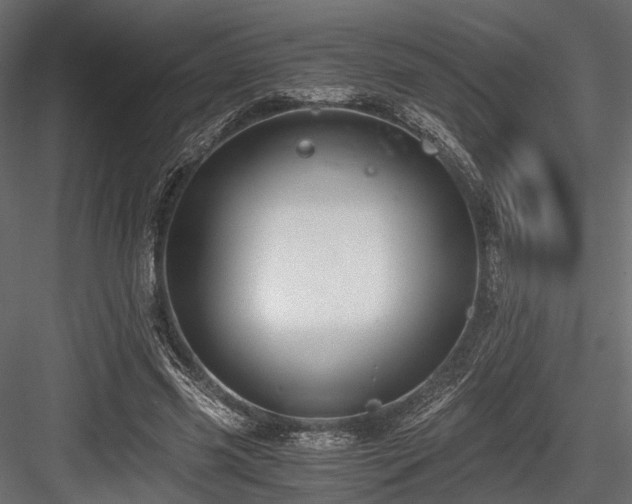 X0000084550541200702231208
