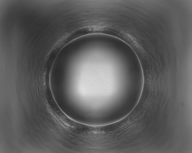 X0000084550543200702231208