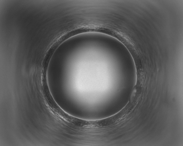 X0000084550544200702231208
