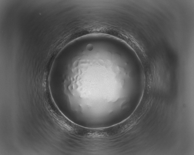 X0000084550545200702231208