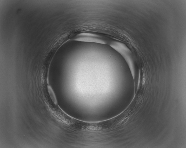 X0000084550546200702231208