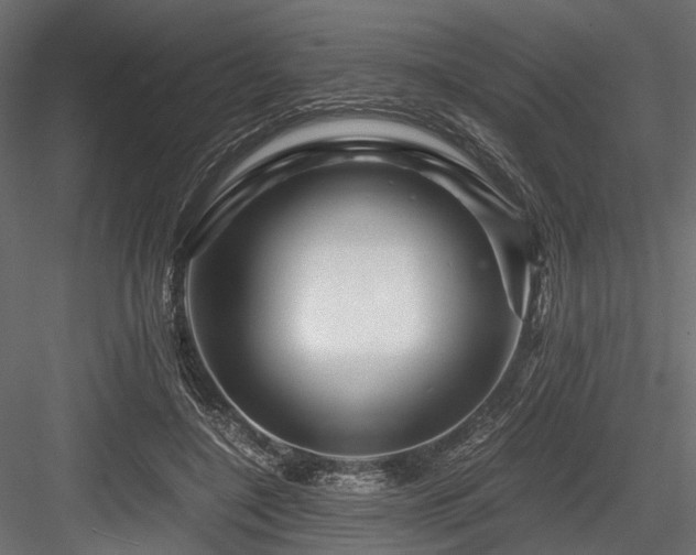 X0000084550548200702231208