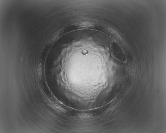 X0000084550549200702231208
