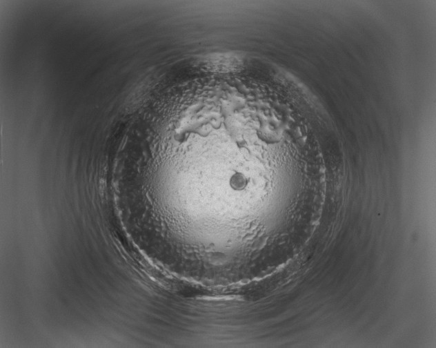 X0000084550553200702231208
