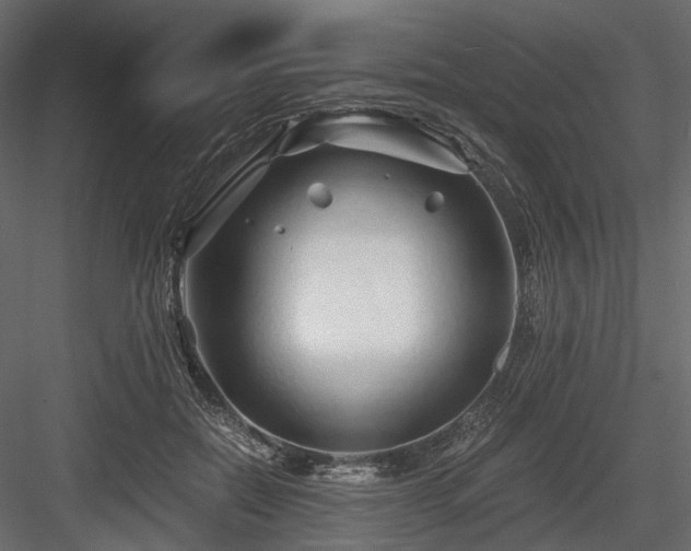 X0000084550554200702231208