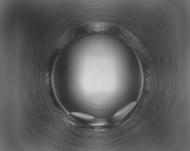 X0000084550555200702231208