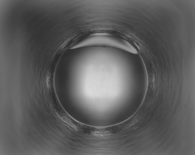X0000084550556200702231208