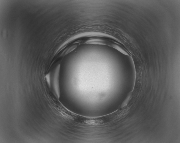 X0000084550558200702231208