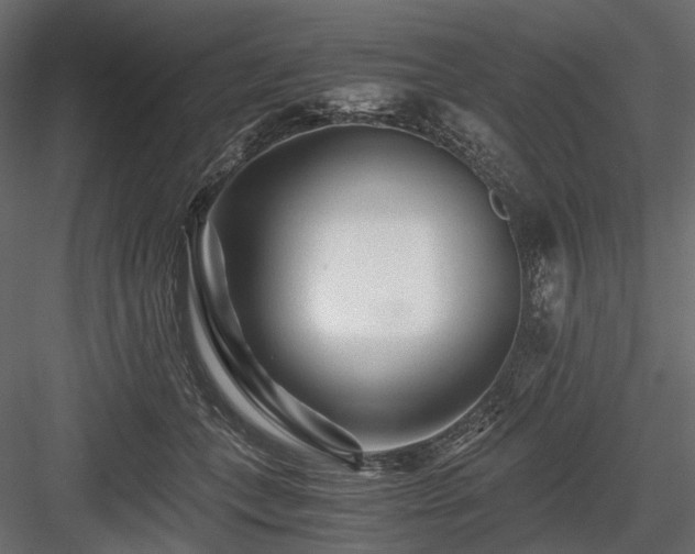 X0000084550559200702231208