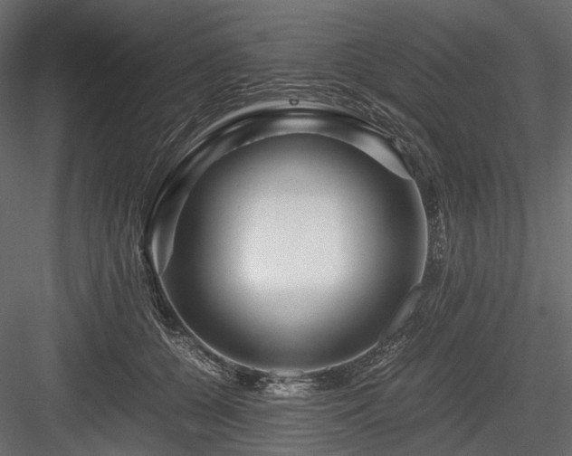 X0000084550560200702231208