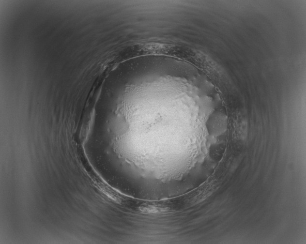 X0000084550561200702231208