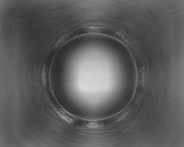 X0000084550562200702231208
