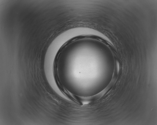 X0000084550564200702231208