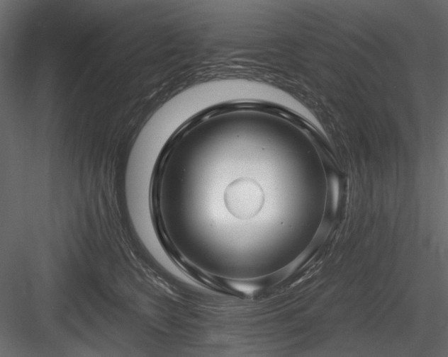 X0000084550566200702231208