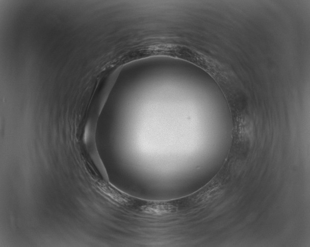 X0000084550567200702231208