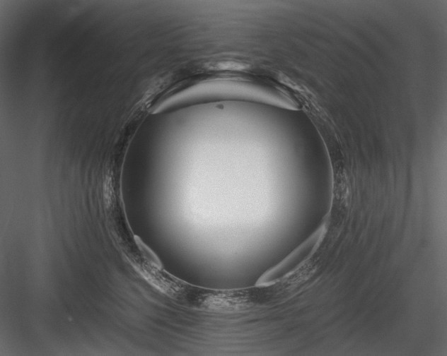 X0000084550568200702231208