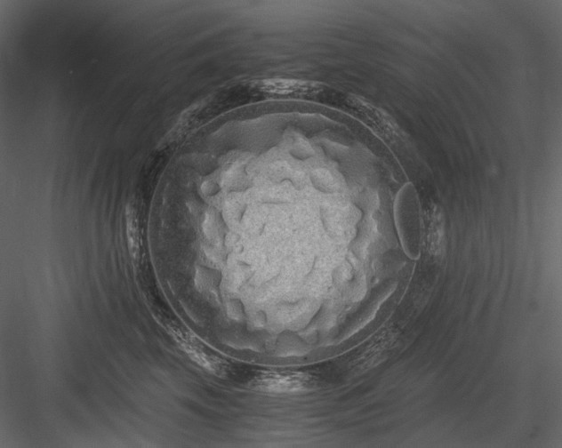 X0000084550569200702231208