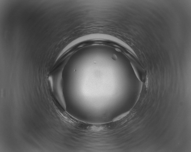 X0000084550570200702231208