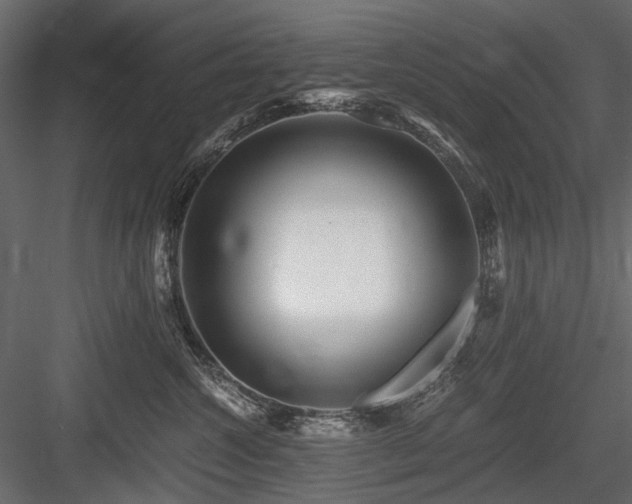 X0000084550572200702231208
