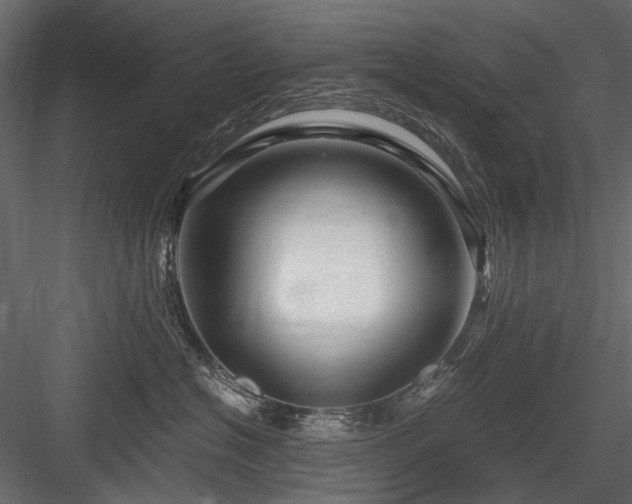 X0000084550574200702231208