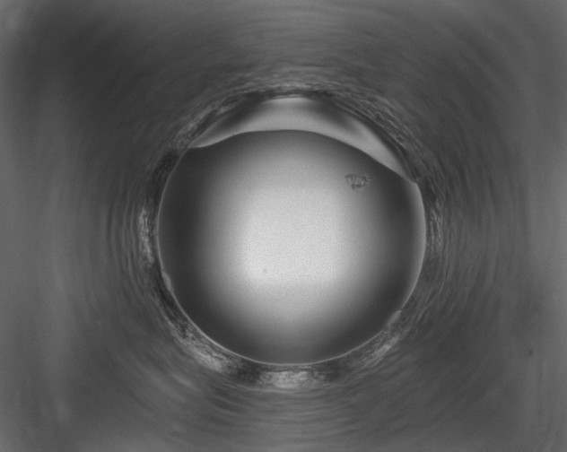 X0000084550575200702231208