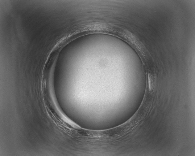 X0000084550579200702231208