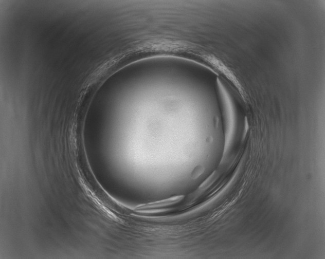 X0000084550581200702231207