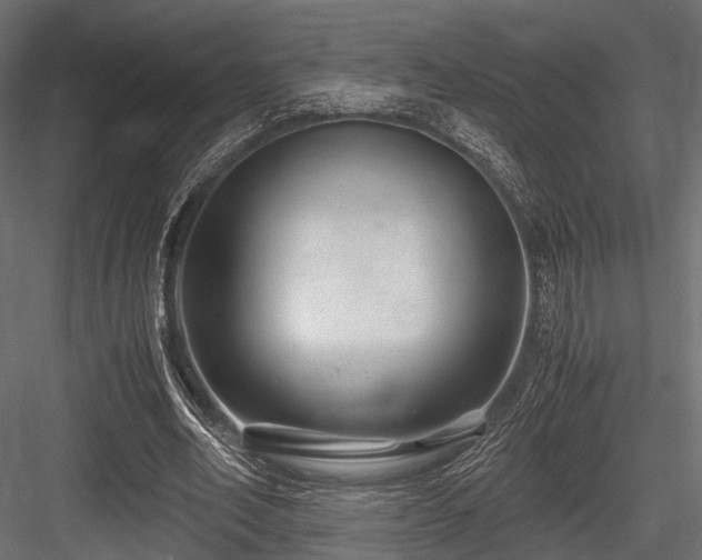 X0000084550582200702231207