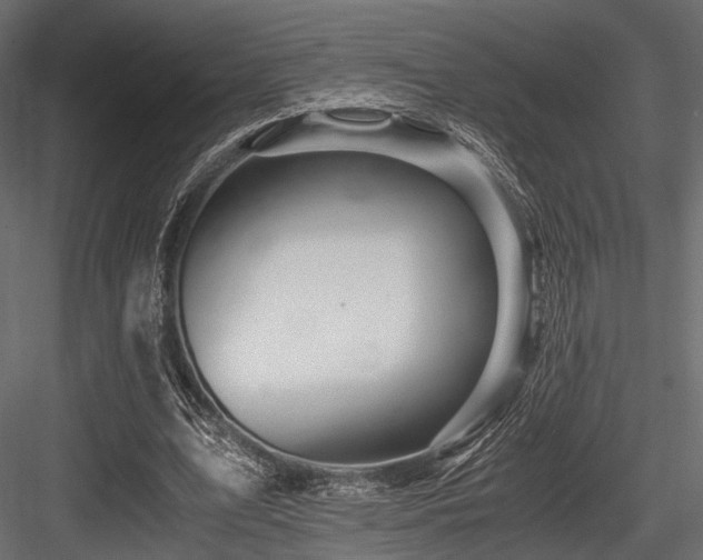 X0000084550583200702231207