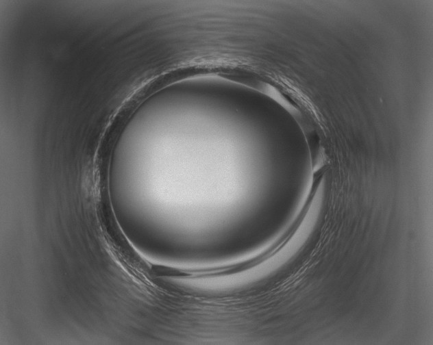 X0000084550584200702231207