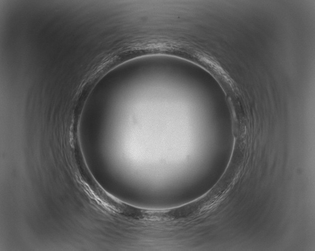 X0000084550585200702231207