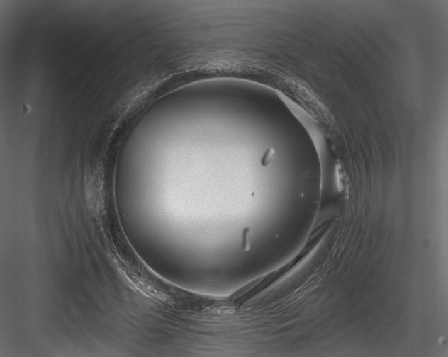 X0000084550588200702231207