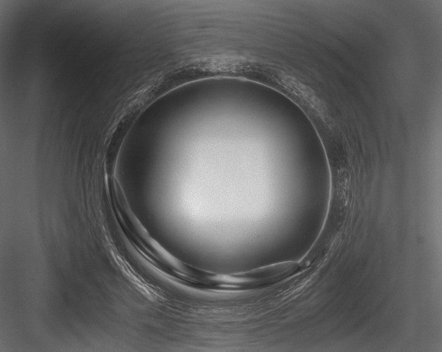 X0000084550589200702231207