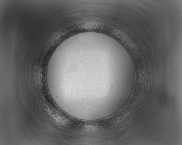 X0000084550592200702231207