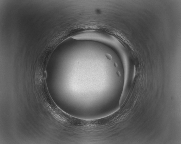 X0000084550593200702231207