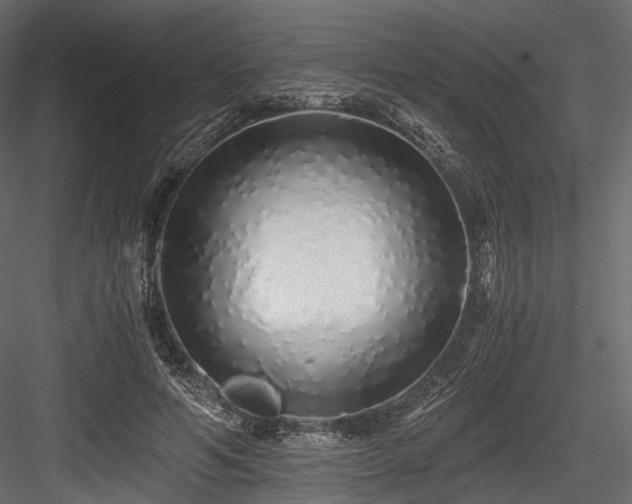 X0000084550594200702231207