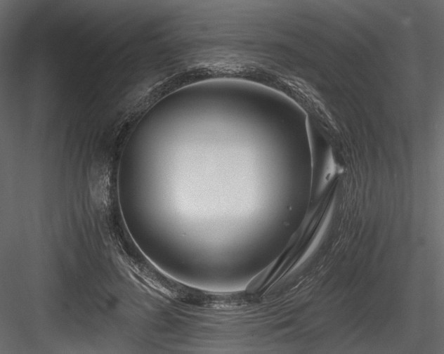 X0000084550596200702231207