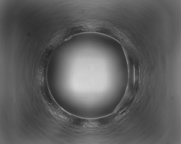 X0000084550599200702231207