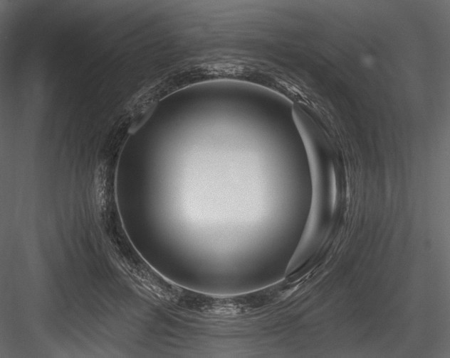 X0000084550600200702231207