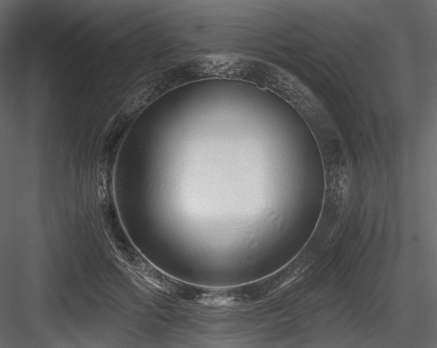 X0000084550602200702231207