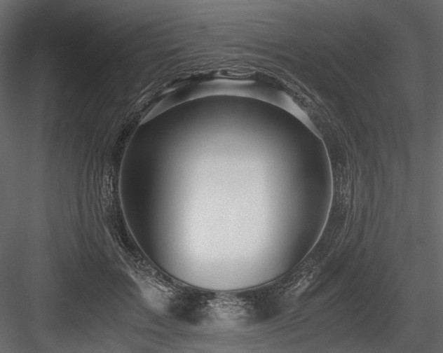 X0000084550603200702231207