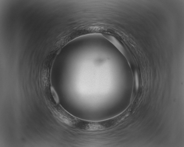 X0000084550605200702231207