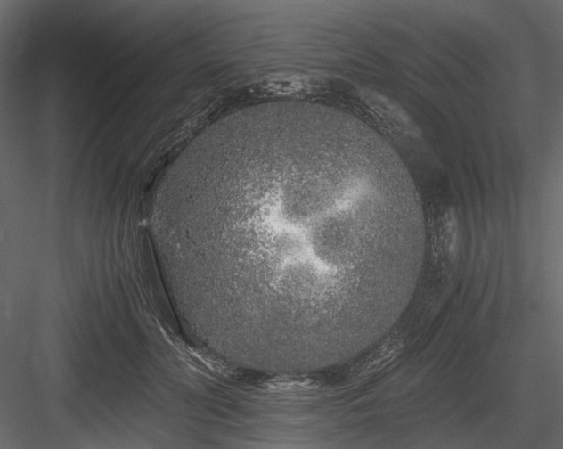 X0000084550606200702231207
