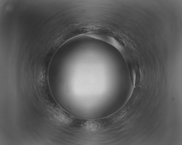 X0000084550608200702231207