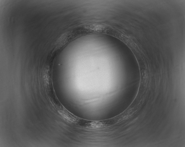 X0000084550612200702231207