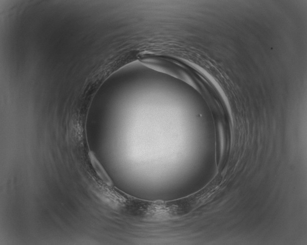 X0000084550613200702231207