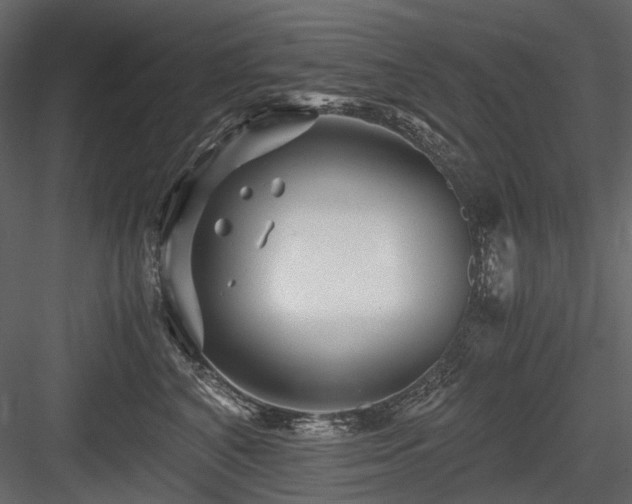 X0000084550616200702231207